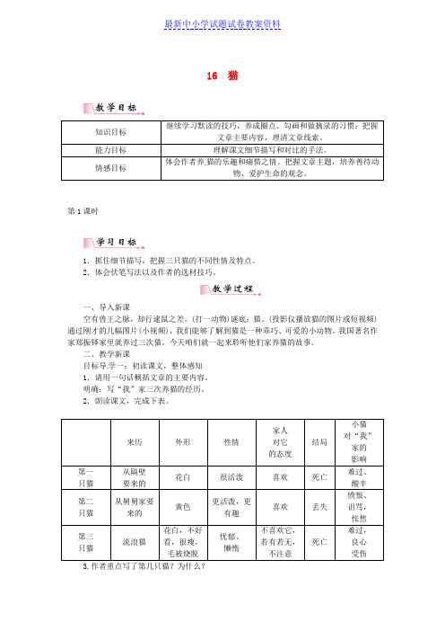 精品七年级语文上册第五单元16猫教案新人教版