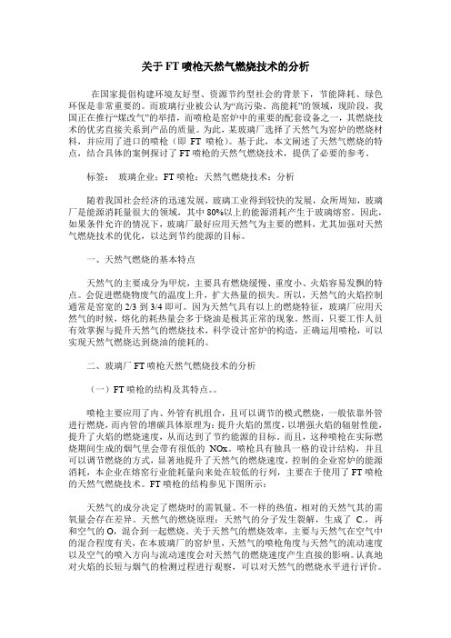 关于FT喷枪天然气燃烧技术的分析