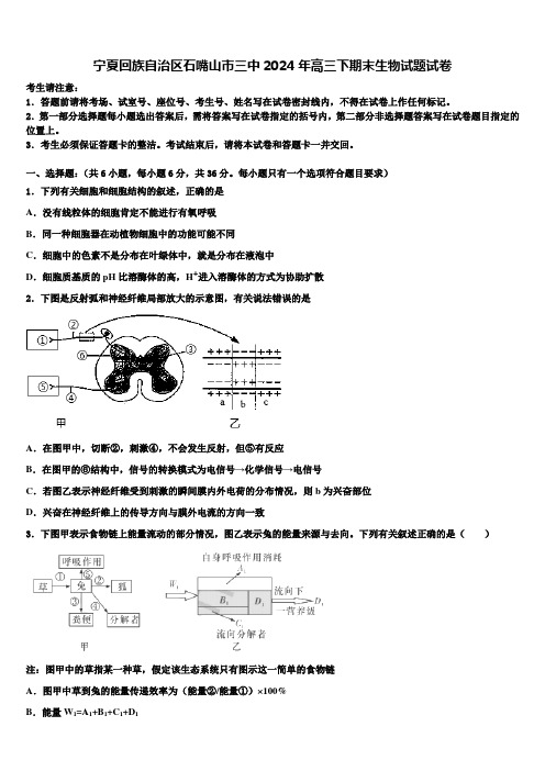 宁夏回族自治区石嘴山市三中2024年高三下期末生物试题试卷含解析