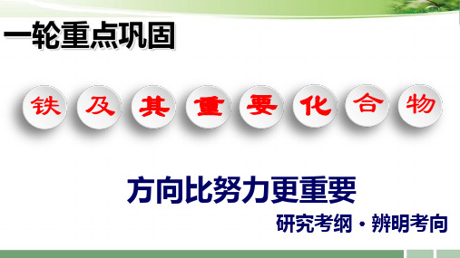 2023届高考化学一轮复习：《第11讲 铁及其重要化合物》课件