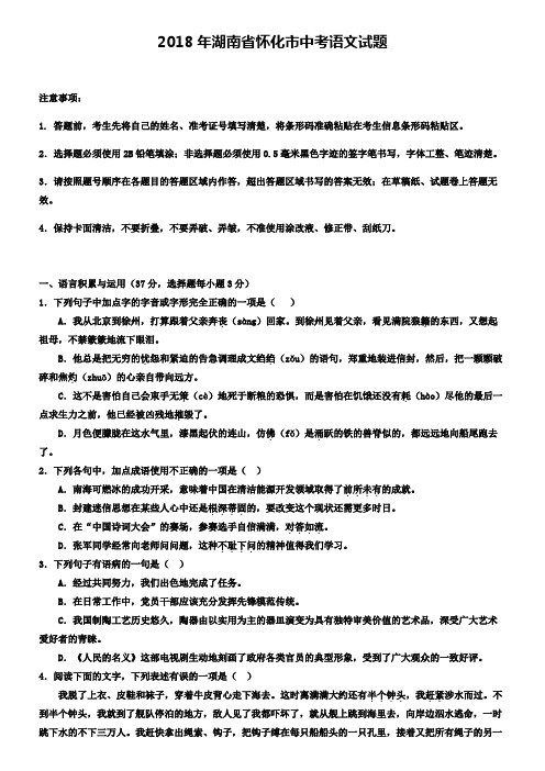 2018年湖南省怀化市语文中考试题含答案+〖中考模拟试题五套〗