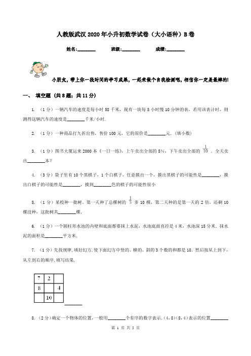 人教版武汉外校2020年小升初数学试卷(大小语种)B卷