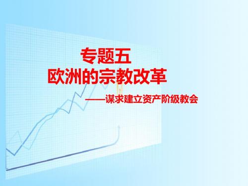 2016历史一轮复习  欧洲的宗教改革