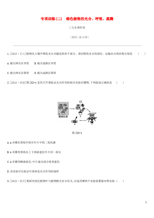 北京市中考生物复习专项训练绿色植物的光合呼吸蒸腾三大生理作用