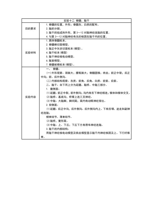 实验十二脊髓、脑干