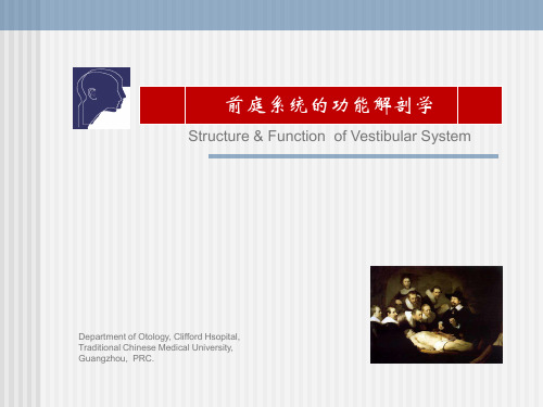 岳文龙《前庭系统的功能解剖学》分析解析精品PPT课件