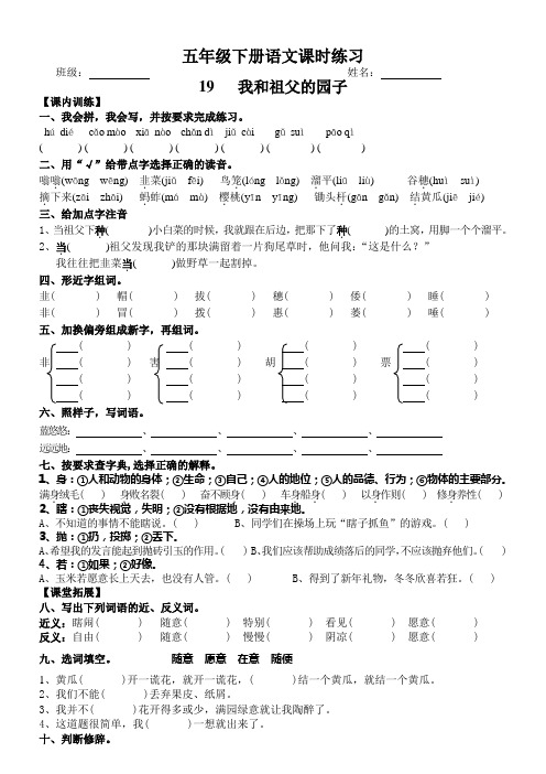 苏教版五年级下册语文第19课 我和祖父的园子 课时练习