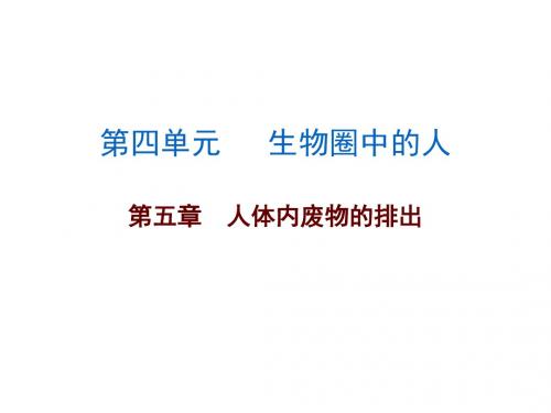 广东中考总复习初中生物中考复习课件 第4单元第五章