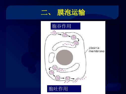 细胞膜泡运输