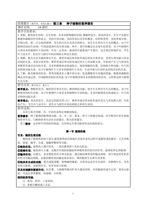 03 种子植物的营养器官