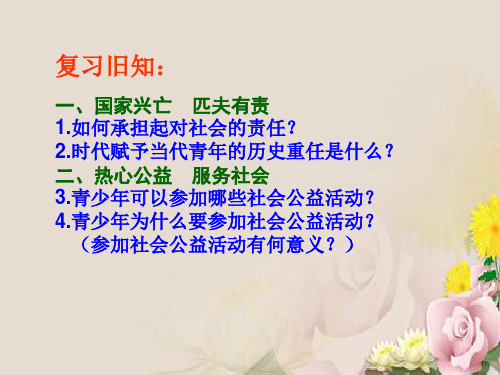 做一个负责任的公民PPT课件10 人教版