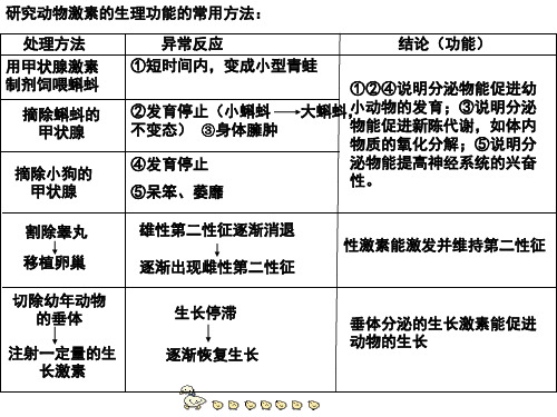 动物激素的生理作用