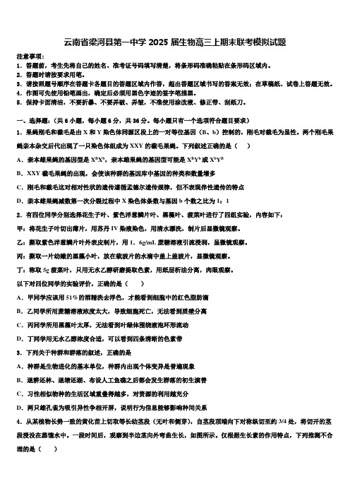 云南省梁河县第一中学2025届生物高三上期末联考模拟试题含解析