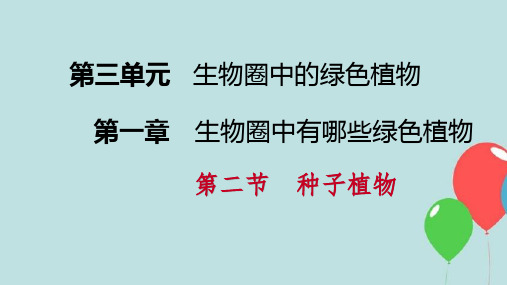 七年级生物上册第三单元第一章第二节种子植物第1课时种子的结构课件新人教版
