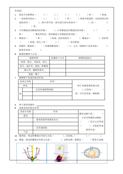 四年级下册科学第二单元作业纸