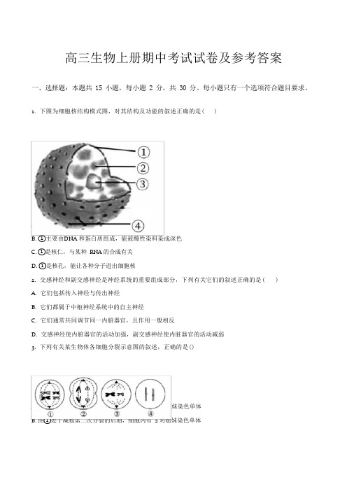 高三生物上册期中考试试卷及参考答案