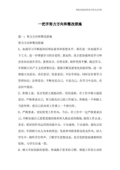 一把手努力方向和整改措施