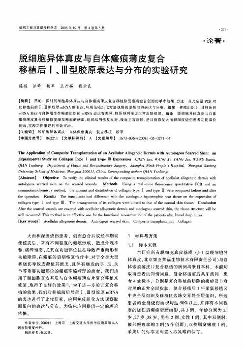 脱细胞异体真皮与自体瘢痕薄皮复合移植后Ⅰ、Ⅲ型胶原表达与分布的实验研究