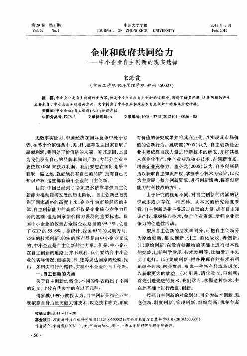 企业和政府共同给力——中小企业自主创新的现实选择