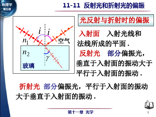 大学物理-反射光和折射光的偏振