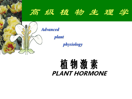 植物激素(Plant_hormones)