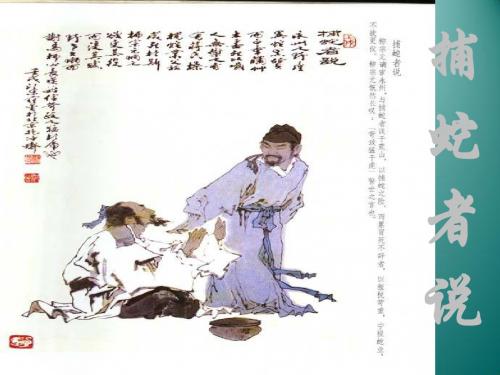 5.19 捕蛇者说 课件(苏教版九年级上).ppt