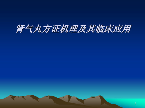 肾气丸方证机理及临床应用ppt课件