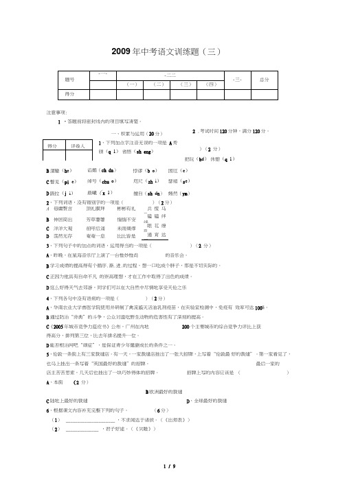 山东省泰安市中考模拟训练语文模拟试题(三)