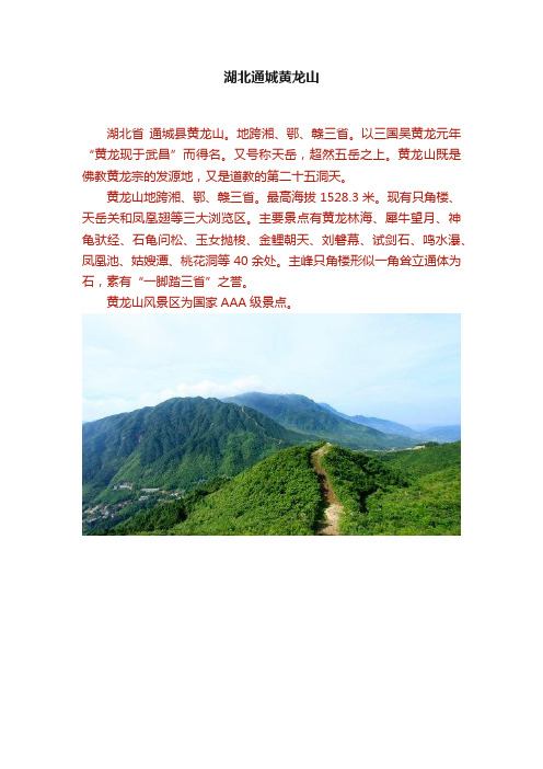 湖北通城黄龙山