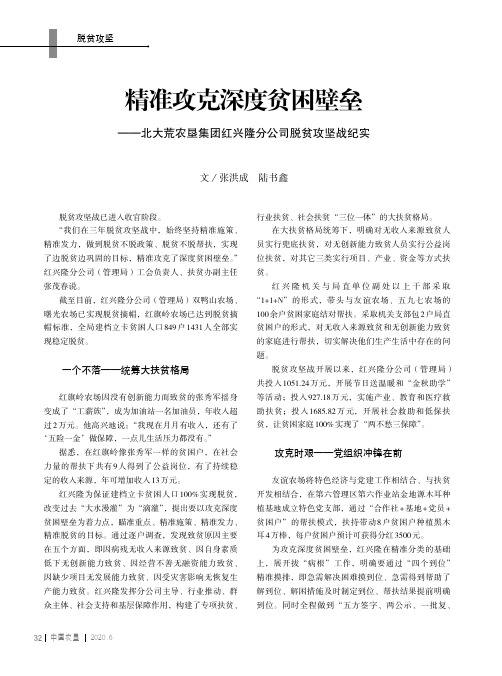 精准攻克深度贫困壁垒——北大荒农垦集团红兴隆分公司脱贫攻坚战纪实