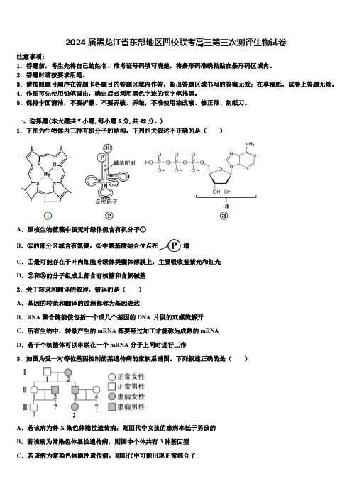 2024届黑龙江省东部地区四校联考高三第三次测评生物试卷含解析