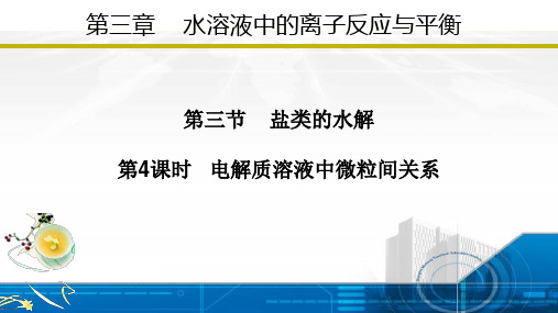 3.3.4 电解质溶液中微粒间关系(课件)高二化学(人教版2019选择性必修1)