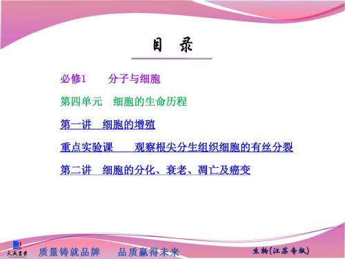 2013一轮三维生物教师用书(江苏专版)PPT格式可自主编辑课件必修1 第四单元 细胞的生命历程