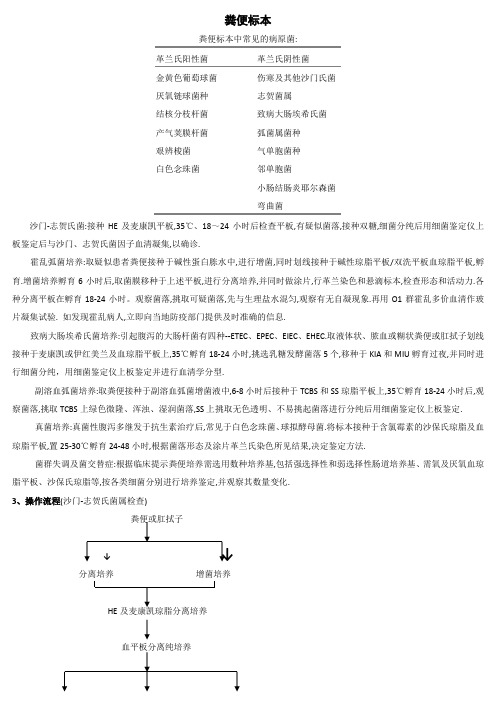 医学检验-粪便标本处理