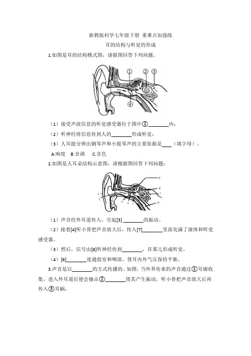 重难点加强练 耳的结构与听觉的形成  2020—2021学年 浙教版科学七年级下册 