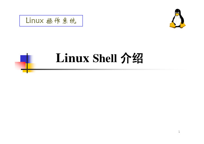 Linux Shell 介绍