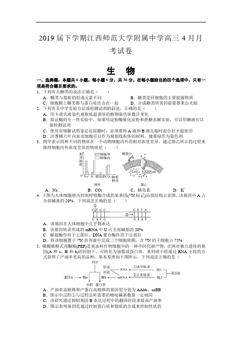 2019届下学期江西师范大学附属中学高三4月月考试卷 生物