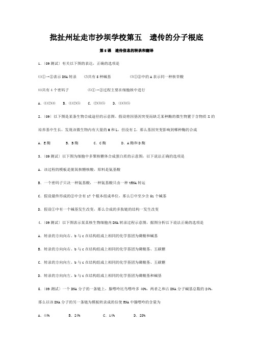 II部高三生物 《遗传信息的转录和翻译》作业