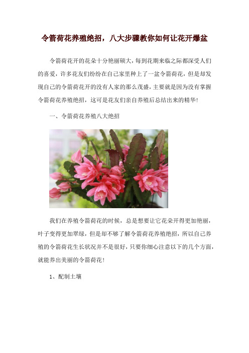 令箭荷花养殖绝招,八大步骤教你如何让花开爆盆