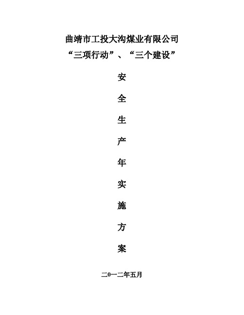 “三项行动、三项建设”安全生产年活动实施方案