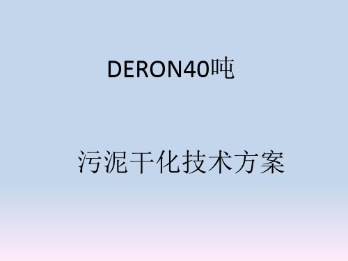 DERON  40吨污泥干化技术方案