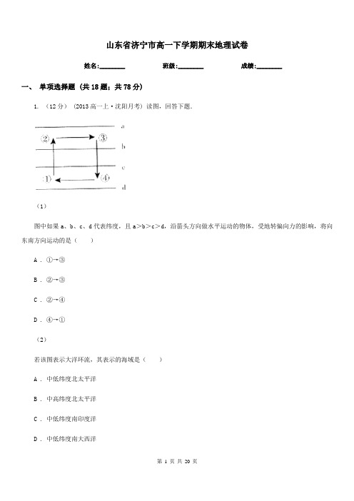 山东省济宁市高一下学期期末地理试卷