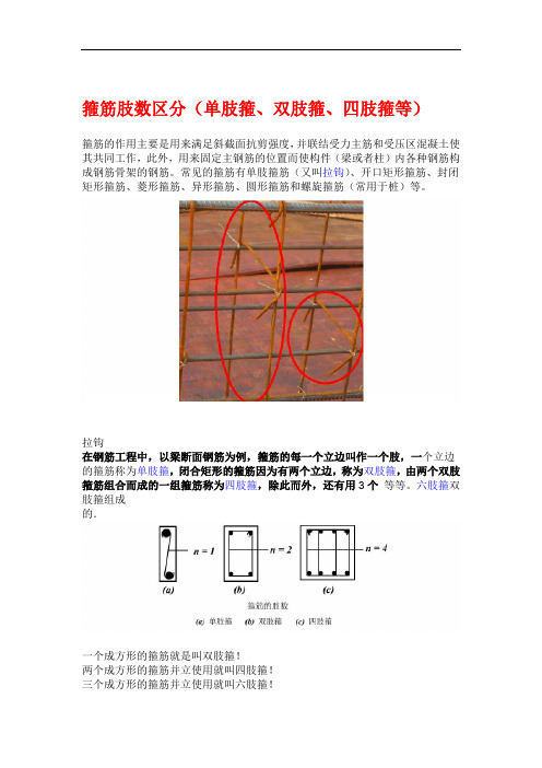 箍筋肢数区分单肢箍双肢箍四肢箍等