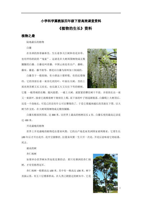 小学科学冀教版四年级下册高效课堂资料《植物的生长》资料：植物之最 (1)