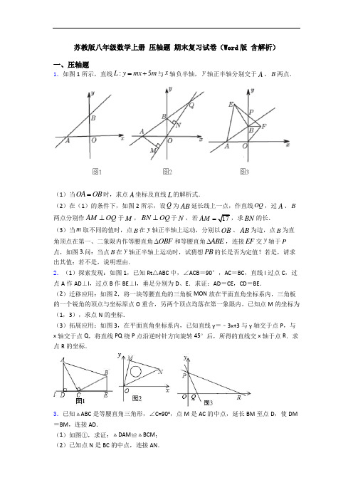 苏教版八年级数学上册 压轴题 期末复习试卷(Word版 含解析)