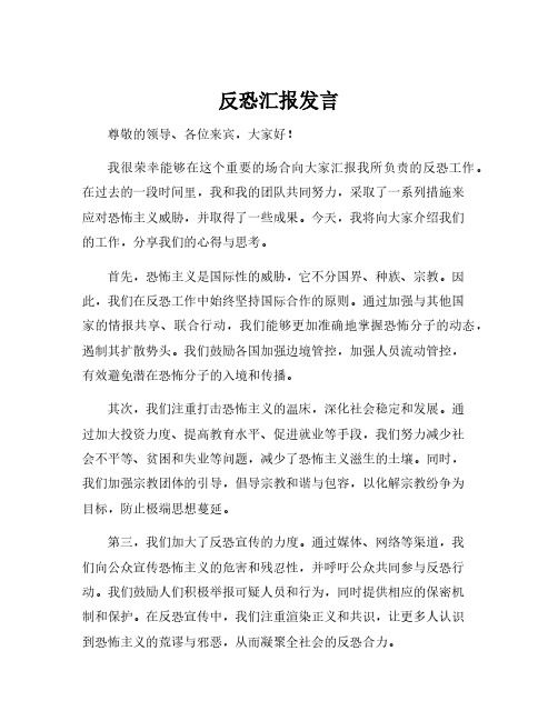 反恐汇报发言