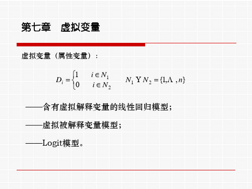 虚拟变量