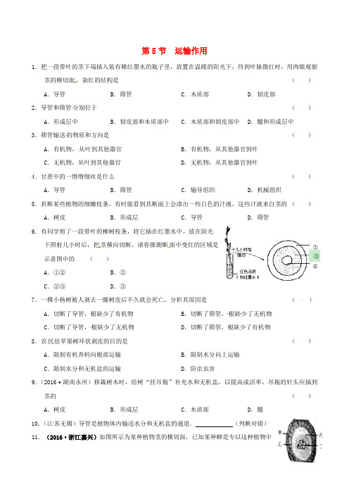 七年级生物上册3.5.5运输作用同步练习北师大版