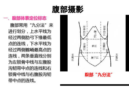 腹盆部X线摄影