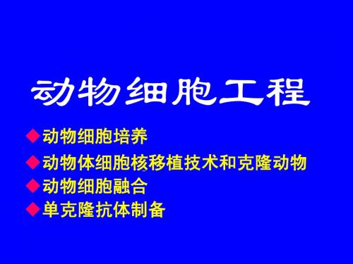 动物细胞工程